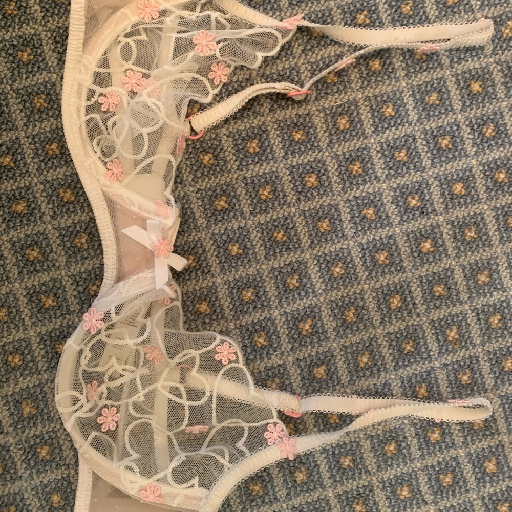 VS x For love and lemons bra